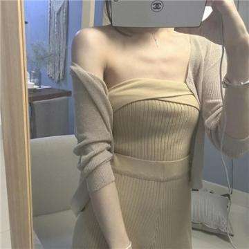 保卫萝卜海底版